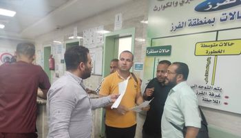 فريق الإدارة الصحية بملوي 
