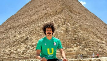 مصطفى معوض