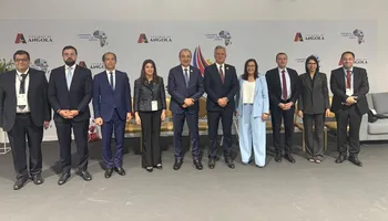وزير قطاع الاعمال 