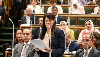 وزيرة التخطيط والتعاون الدولى 