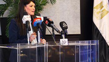 وزيرة التخطيط والتعاون الدولى 