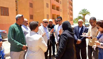 الفاعلية 