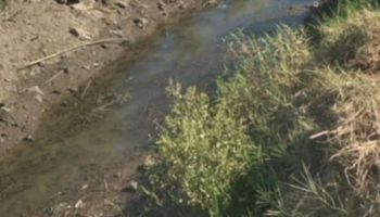 نقص مياه الري بقرية النواهض في قنا 