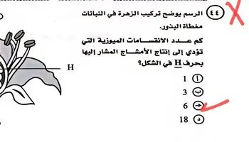 امتحان الأحياء 