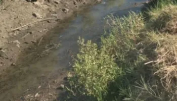 نقص مياه الري في قرية النواهض بقنا 