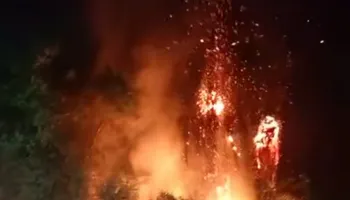 جانب من الحريق 