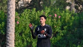 محمد عواد 