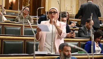 النائبة سميرة الجزار 