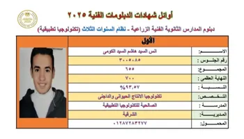 أنس السيد الأول على الدبلومات الفنية 