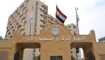 التنظيم والإدارة