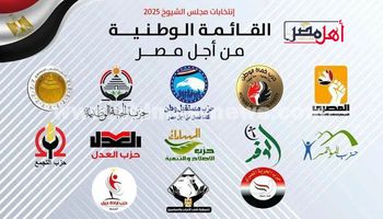 القائمة الوطنية من أجل مصر