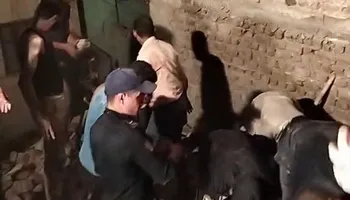 المنزل المنهار