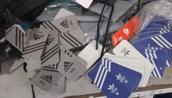 المنوفية