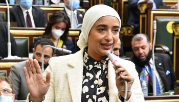 النائبة أميرة أبو شقة 
