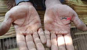 صناعة الحصر بقرى الغربية 