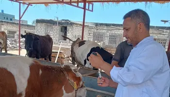 انطلاق الحملة القومية للتحصين ضد الحمى القلاعية وحمى الوادي المتصدع 