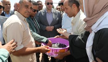 مشروع الاستزراع السمكي ببنى سويف 