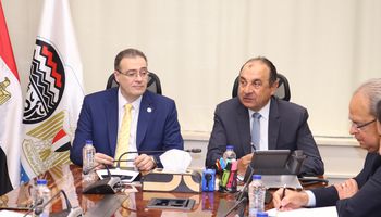 وزير قطاع الاعمال