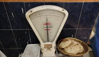 المضبوطات