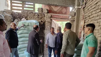 الدقيق