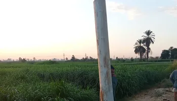 العامود 