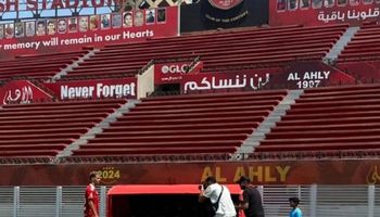 إمام عاشور 