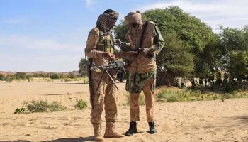 الجيش المالي
