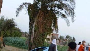 الحادث