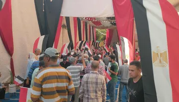 انتخابات مجلس الشيوخ