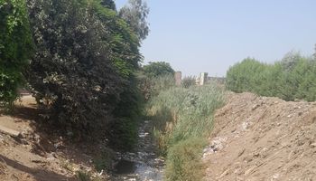 المصرف 
