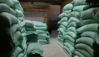 المنوفية