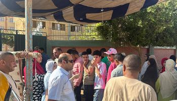 انتخابات الإعادة لمجلس الشيوخ  