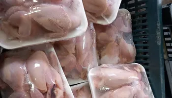 جانب من الضبطيات 