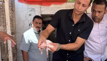 ضبوطات 