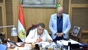 محافظ الدقهلية 