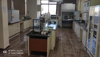 أرشيفية 