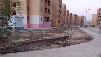 الطود 
