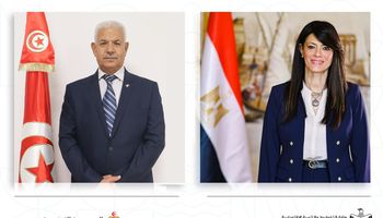 وزيرة التعاون الدولى