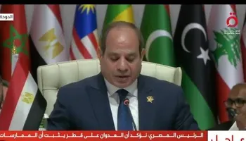 الرئيس السيسي 