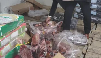 المضبوطات