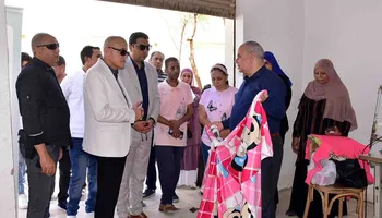 الفاعلية 