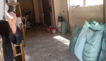المنوفية