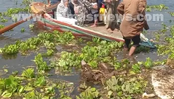المواطنين 