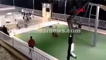 الواقعة