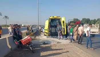 حادث المنيا 