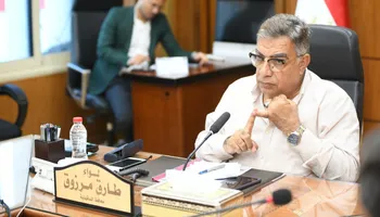 محافظ الدقهلية 