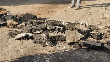 نفق السمك