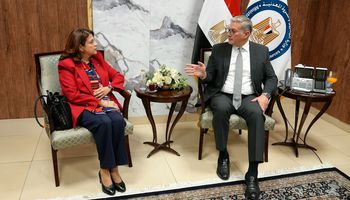 وزير البترول 