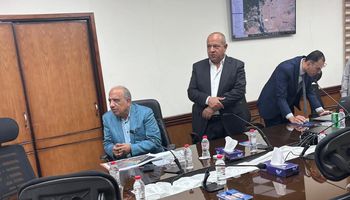وزير الكهرباء 