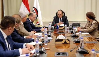 وزير قطاع الاعمال